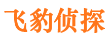 镇雄外遇调查取证